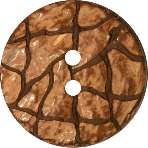 Echt Kokosnuss Knopf 15 -23 mm